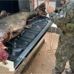 Batalhão Ambiental prende dois homens com peixe de 68 kg e aplica multa de R$ 40 mil