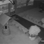 Policiais militares são suspeitos de participar de tentativa de chacina