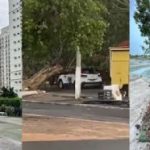 Chuva deixa 19 bairros de Cuiabá e VG com falta de luz; ventania derruba árvore sobre carro