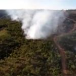 Incêndio atinge divisa entre santuário de elefantes e fazenda em Chapada; vídeo