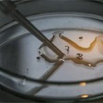 Dia D contra a dengue convoca população a eliminar focos do mosquito