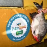 Prefeitura vai punir empresa responsável por desistir de fornecimento do Peixe Santo