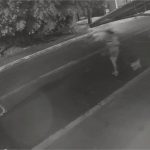 PM mata cachorro a tiros alegando defesa da família e acaba preso