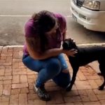 Advogada é detida após tentar evitar que cadela fosse expulsa de restaurante e relata ter sofrido constrangimento