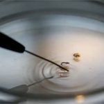 Brasil ultrapassa a marca de 1.000 mortes por dengue este ano