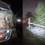 Motorista de carreta faz ‘strike’ em postes de iluminação pública em VG; veja vídeo