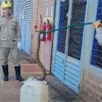 Cascavel é encontrada dentro de balde em pátio de empresa em MT
