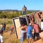 Caminhão tomba com porcos e carga é saqueada em MT