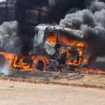 Vídeos: Carreta que transportava bois pega fogo na BR-070 em MT; alguns animais escaparam