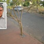 Ex-professor que matou gata com machado reconhece ter sido ‘abominável e desprezível’