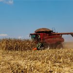 Mato Grosso é o Estado que mais gerou empregos no Centro-Oeste em junho