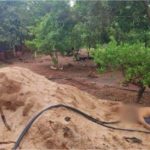 Garoto mata ex-padrasto a pauladas para defender a mãe e irmãs em VG