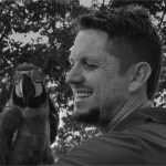 Arara símbolo do Pantanal morre de intoxicação em MT