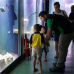 Crianças em tratamento contra o câncer visitam Aquário e Museu do Rio