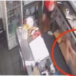 Vídeo: Mulher morre ao tentar matar ex-companheiro