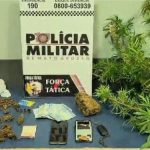 Traficante que atendia condomínios de luxo é preso com ‘plantação’ da verdinha