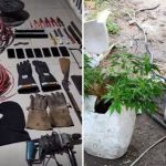 Quadrilha especializada em roubo de fios de placas solares é desmantelada; veja vídeo