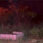 Homem é preso depois de obrigar namorada a abortar e jogar feto em sacola de lixo