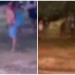 Vídeo mostra ‘modelos’ espancando garanhão por desacordo comercial em MT