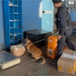 Bope apreende 165 explosivos em carga de transportadora em Cuiabá