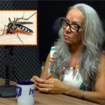 Secretária aponta queda da chikungunya e alerta para onda de Influenza