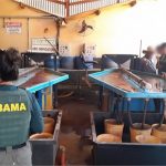 Ibama multa garimpeiros de Poconé em R$ 20 milhões por extração ilegal de ouro