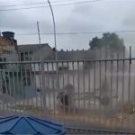 Homem grava capotamento de carro por acaso enquanto filmava o próprio cachorro; vídeo viraliza nas redes