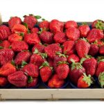 Estoque de morangos zera em minutos no Ceasa de Cuiabá; vídeo