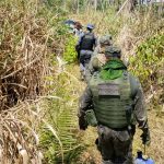 Policiais localizam mulheres que se perderam na mata em Mato Grosso