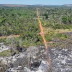 Sema e PM flagram destruição em área de preservação permanente