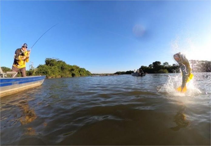 pesca