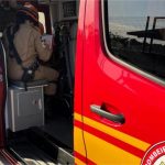 Doze pessoas são atacadas por enxame de abelhas às margens de Córrego