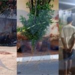 Homem foi morto em ritual de ‘pacto por riqueza’; dois são presos em MT