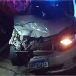 Motorista colide com anta em rodovia e veículo tem perda total