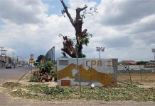 Moradores se revoltam com poda de mangueira antiga no CPA II, em Cuiabá