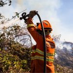 Cuiabá alcança menor índice de queimadas em 27 anos: Queda de 92%
