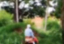 Casal de velhinhos é flagrado fazendo sexo em matagal em Várzea Grande