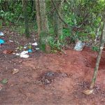 Cão farejador localiza corpo enterrado em cova rasa