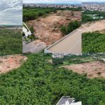 Moradores denunciam desmatamento no Carumbé