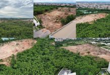 Moradores denunciam desmatamento no Carumbé