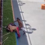 Ladrão aproveita momento íntimo de casal e furta celular; vídeo