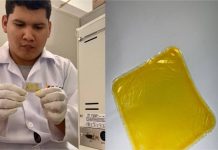 Pesquisadores da UFMT estudam o desenvolvimento de embalagem biodegradável de óleo de pequi