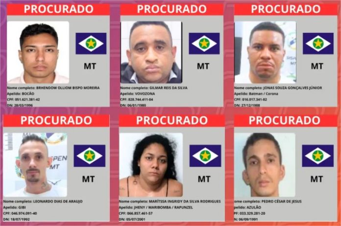 procurados mt