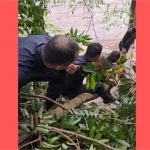 Vídeo: Menino de 11 anos é resgatado após tromba d’água no Rio Jatobá