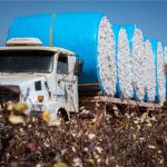 Mato Grosso lidera a balança comercial brasileira em 2025