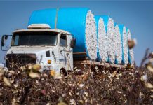 Mato Grosso lidera a balança comercial brasileira em 2025