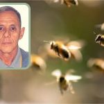 Mais um trabalhador rural morre após ataque de abelhas em fazenda