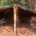 Mais de 600 trabalhadores em situação análoga a escravidão são resgatados em MT