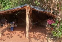 Mais de 600 trabalhadores em situação análoga a escravidão são resgatados em MT