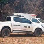 Cão farejador encontra corpo enterrado em mata de Primavera do Leste